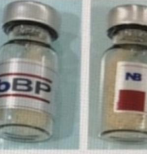 BỘT XƯƠNG SINH HỌC NB