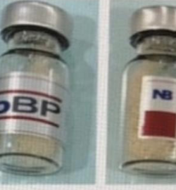 BỘT XƯƠNG SINH HỌC NB